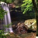 ���� ����, ������, 61 ��� - ��������� 29 ���� 2017 � ������ ������ ��������