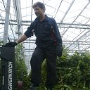 ���� �������, ���������������, 50 ��� - ��������� 15 ��� 2017 � ������ ���� ����������