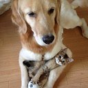 ���� ��������, ������������ - ��������� 19 ������ 2017 � ������ ���� ����������