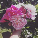 ���� Mint_madness, �����-���������, 38 ��� - ��������� 10 ���� 2017 � ������ ������ ��������