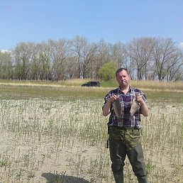 ���� �������, ���������, 53 ���� - ��������� 13 ���� 2017