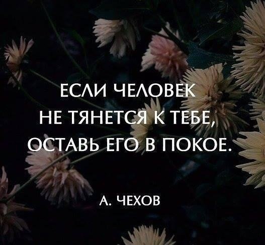   - 19  2017  18:46
