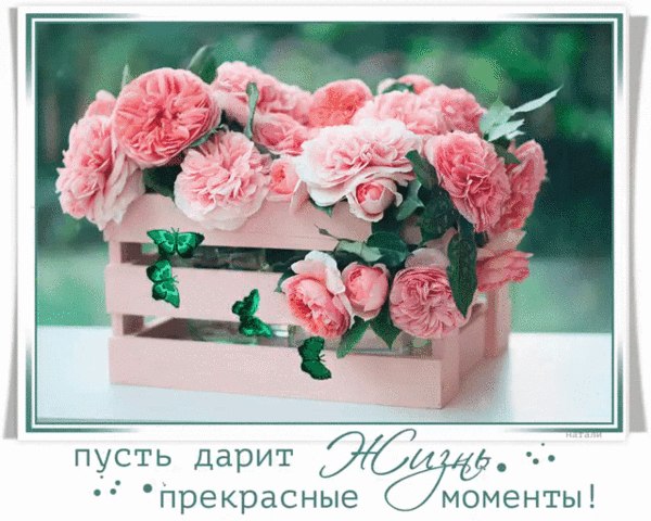 Vera - 17  2017  12:41 - 4