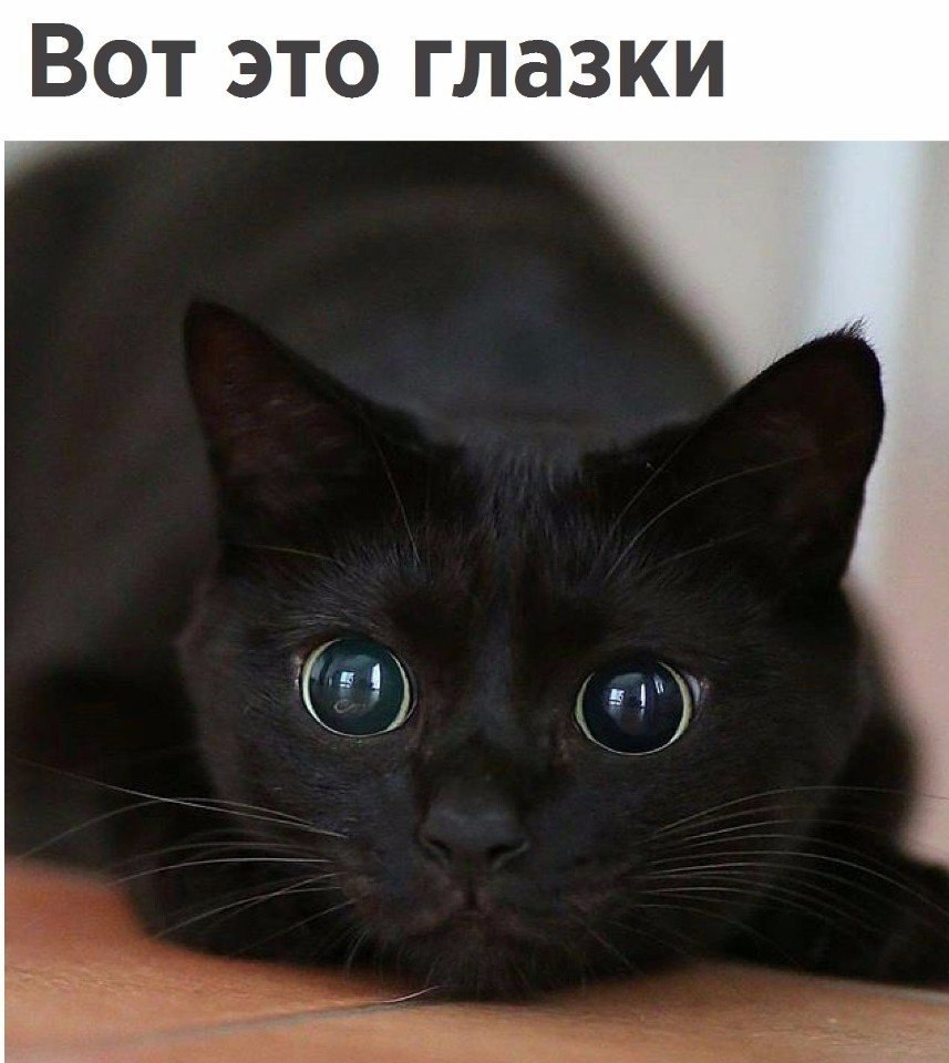       - 16  2017  13:08