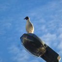 ���� �����, �������������, 23 ���� - ��������� 24 ���� 2017 � ������ ������ ��������