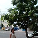 ���� �������, ���������, 73 ���� - ��������� 14 ���� 2017 � ������ ���� ����������