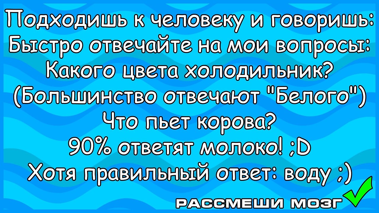 Большинство ответило