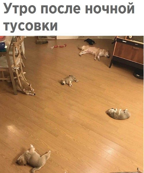   - 2  2017  15:28
