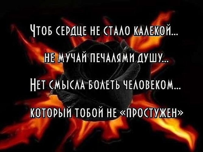   - 7  2017  09:35