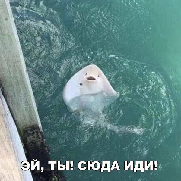    :D - 28  2017  07:11