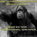 ���� Yuriy, ���������, 43 ���� - ��������� 18 ������� 2017 � ������ ���������