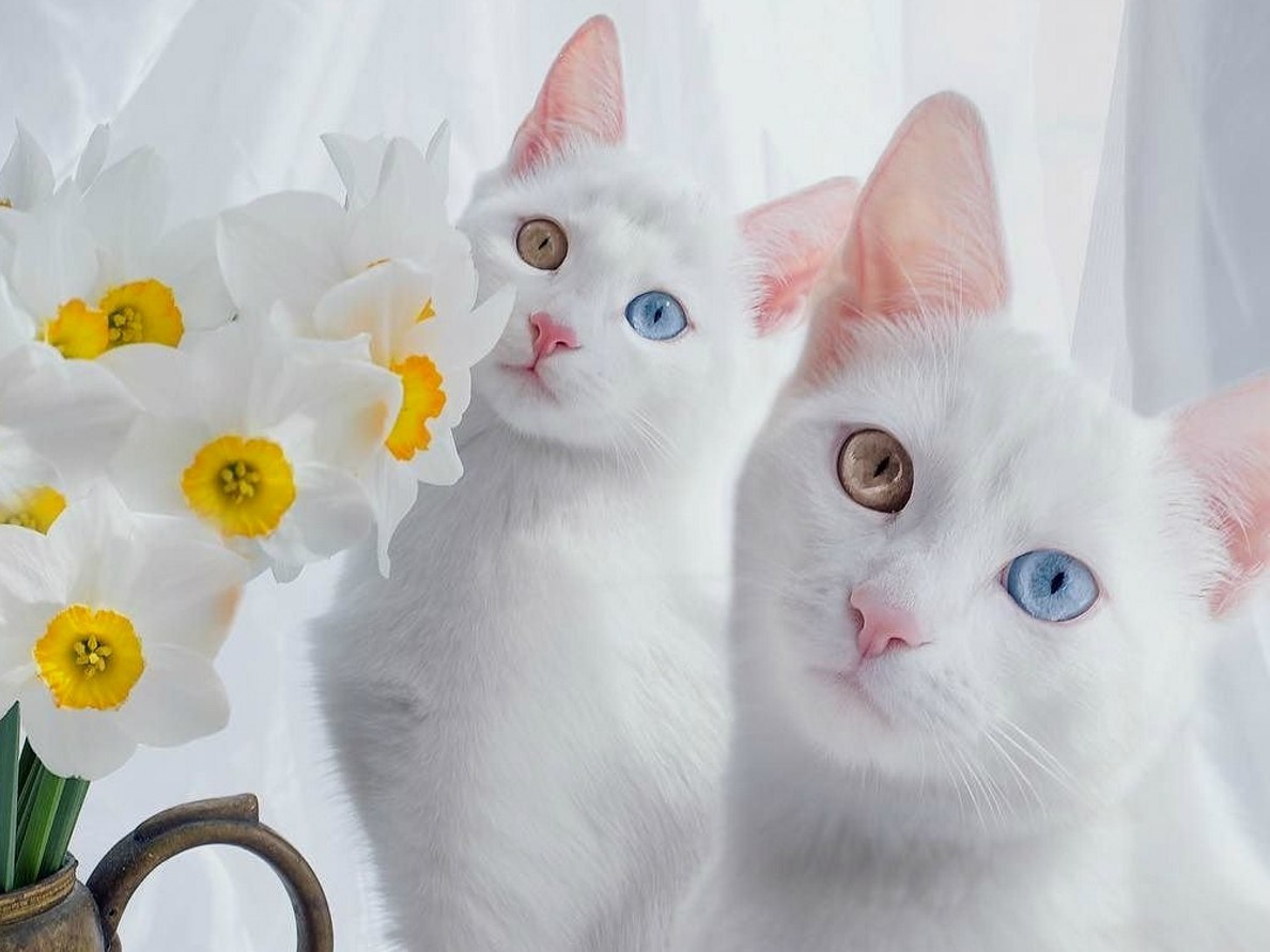   :3 - 2