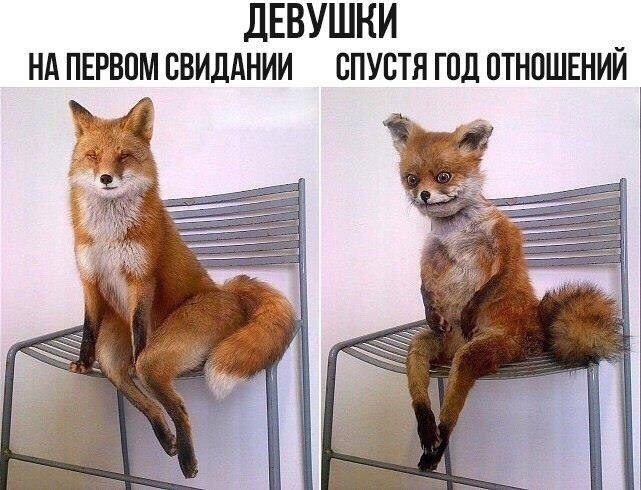 ����� ����� ��������, ������?