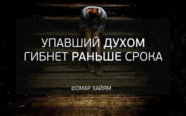 ������� ����� ������� ������ - 23 �������� 2017 � 10:42