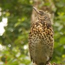 ���� ����, �����-��������� - ��������� 24 ���� 2017 � ������ ���������.�