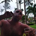 ���� Dmitry, ������ - ��������� 1 �������� 2017