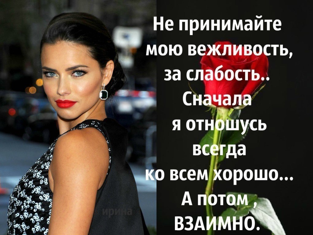    ,  ...       ...  , ... - 5