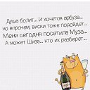 ���� �����, �����-���������, 53 ���� - ��������� 1 ������� 2017 � ������ ������ ��������