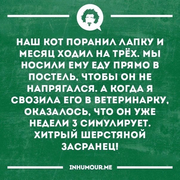   - 14  2017  08:19