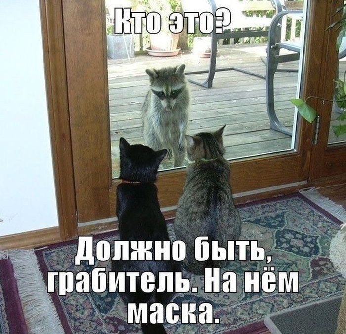 ,     .   ...