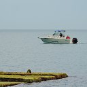  , , 60  -  29  2017   ,, 2017, ...