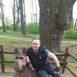 ���� ������, �����-���������, 44 ���� - ��������� 28 ���� 2017