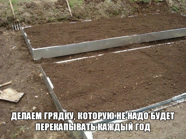 Делаем грядку, которую не надо будет перекапывать каждый год.1. Грядки должны находиться на ...