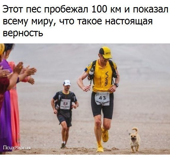  - 1  2017  15:36