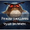 ���� �����, �������������, 60 ��� - ��������� 22 ��� 2017 � ������ ������ ��������