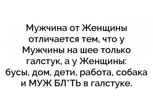    - 11  2017  03:41