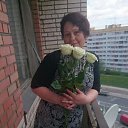 ���� �������, ��������, 56 ��� - ��������� 22 ��� 2017 � ������ ���� ����������