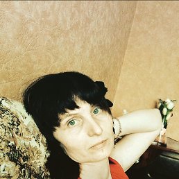  ,  , 51  -  29  2017