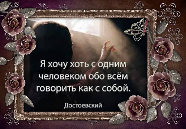  L...  - 5  2017  14:58