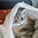 ���� ������, ������ - ��������� 28 ������� 2017 � ������ ������ ��������