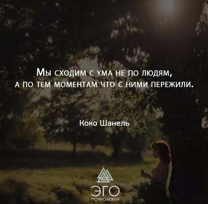  | ,  - 11  2017  13:01