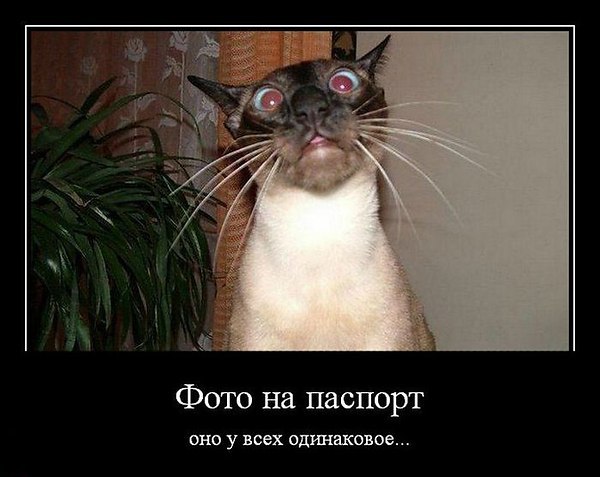  ))) ))))
