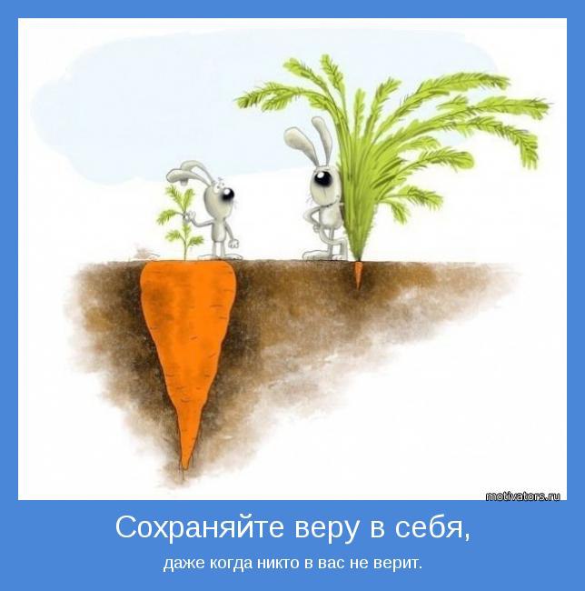   - 18  2017  19:10