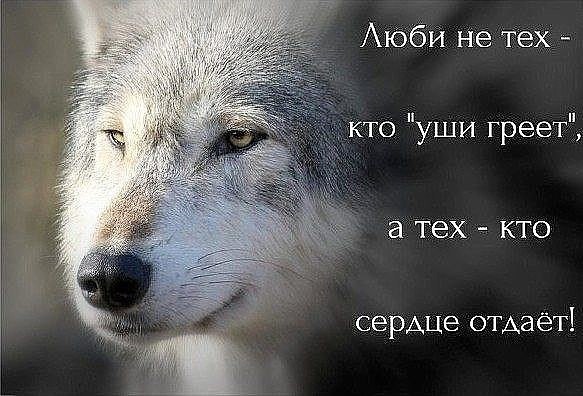 Когда плачет ребенок...МАТЬ может встать даже с предсмертного ложа... Когда плачет МАТЬ...иные дети ... - 3