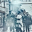  ,  -  9  2017   9  ۻ