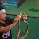 ���� ����, �����������, 51 ��� - ��������� 20 ��� 2017