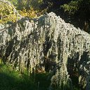  , , 60  -  16  2017    -, 2017