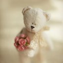  , --, 29  -  28  2017    