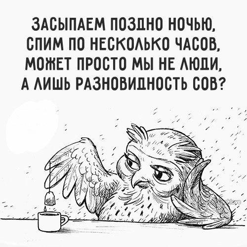   - 17  2017  22:53