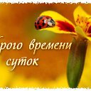 ���� �����, ������ - ��������� 26 �������� 2017 � ������ ������ ��������
