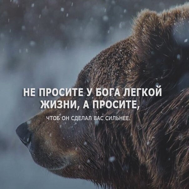     - 14  2017  13:44