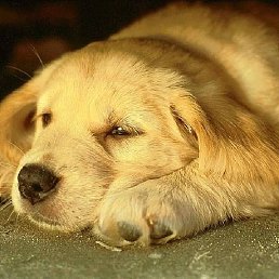 ���� ����, ������ - ��������� 23 ���� 2017