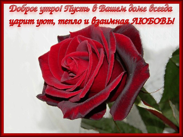 - ДОБРОЕ УТРО! -.Здравствуйте, люди и не болейте!Вам всем здоровья! Вам всем добра!Добрым словечком ...
