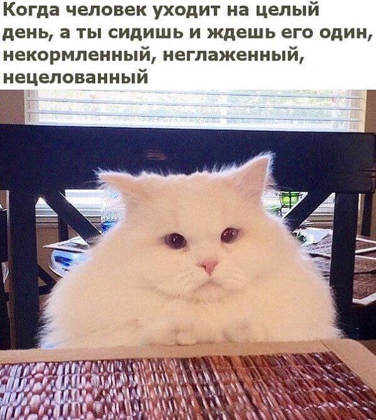   - 7  2017  18:17