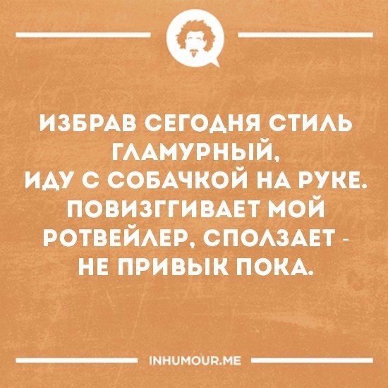   - 7  2017  02:20