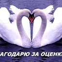  ,  -  28  2017    
